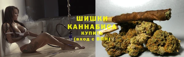стаф Володарск