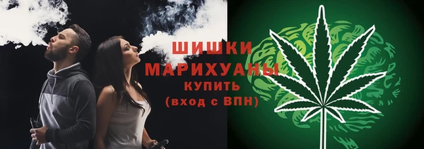 apvp Верея