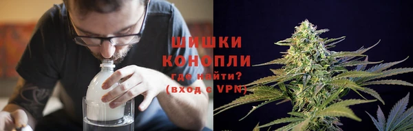 стаф Володарск