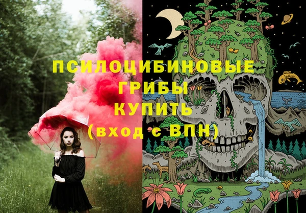 стаф Володарск