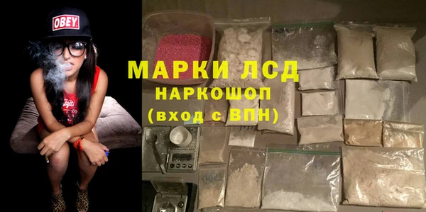 apvp Верея