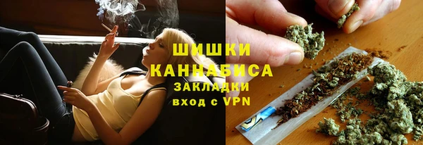 apvp Верея