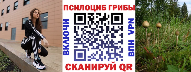 Галлюциногенные грибы прущие грибы  Сочи 